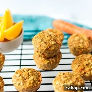 Healthy Orange Carrot Oatmeal Muffins