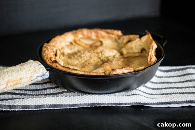 Dutch Baby Apple Pancake Recipe: Fluffy Oven-Baked Breakfast 3 img 21340 2