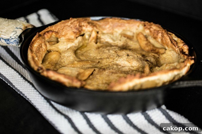 Dutch Baby Apple Pancake Recipe: Fluffy Oven-Baked Breakfast 5 img 21340 4