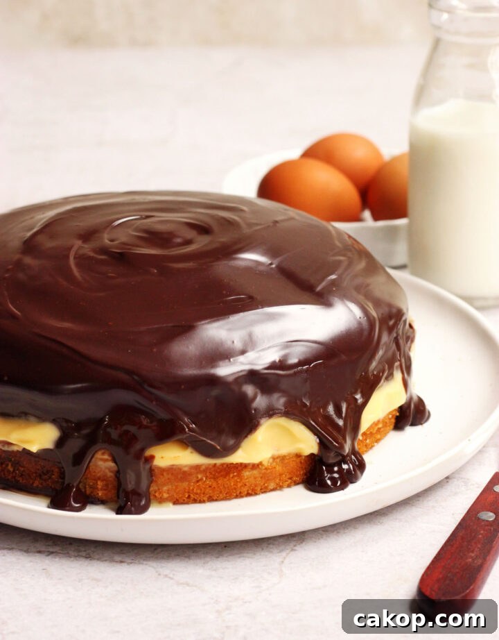 Classic Boston Cream Pie Recipe: Creamy Custard & Chocolate Glaze 3 boston cream pie