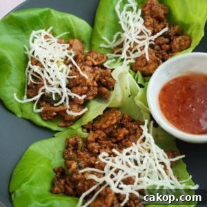 Ground chicken on top of green lettuce with white rice sticks on top of a black plate.