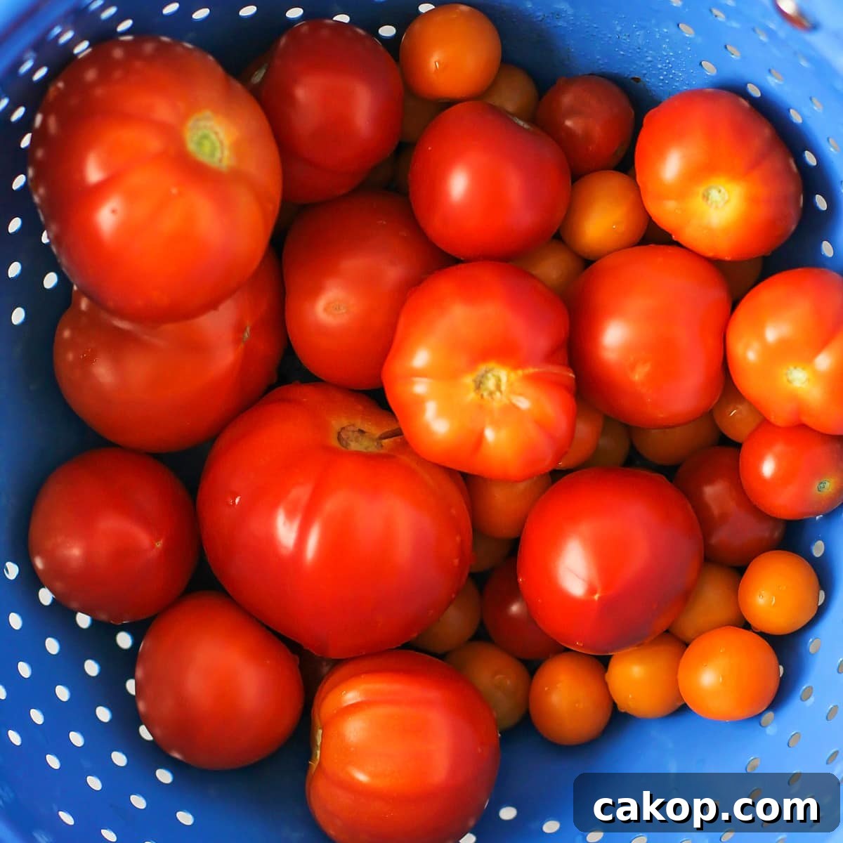 Washed tomatoes in a colander ready for making soup.