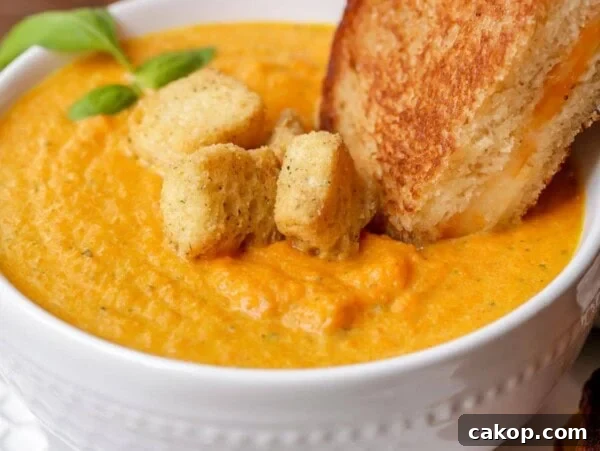 Carrot soup