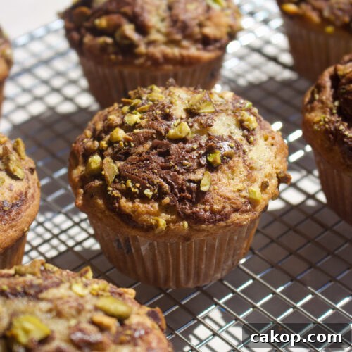 Pistachio Nutella Muffins