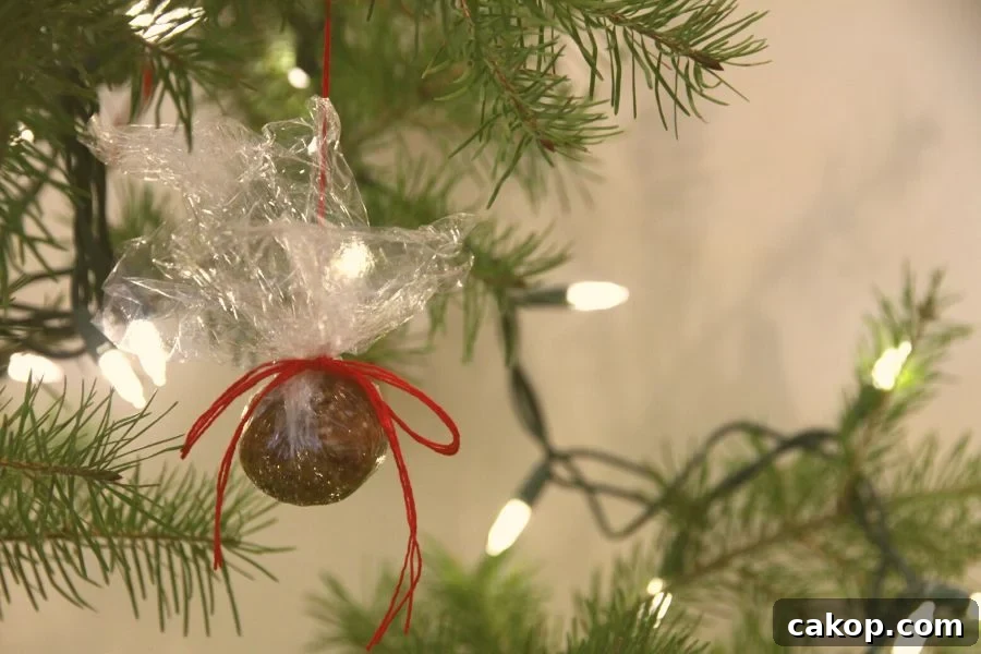 An apricot ball wrapped in clear wrap and tied with red ribbon, hanging on the tree