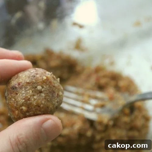 a round, freshly rolled ball of apricots, nuts and cranberries