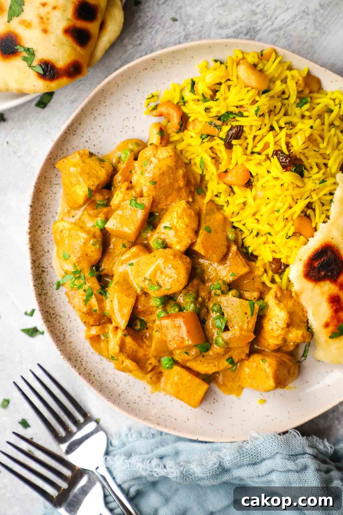 overhead view of chicken and potato curry with yellow basmati rice and naan bread