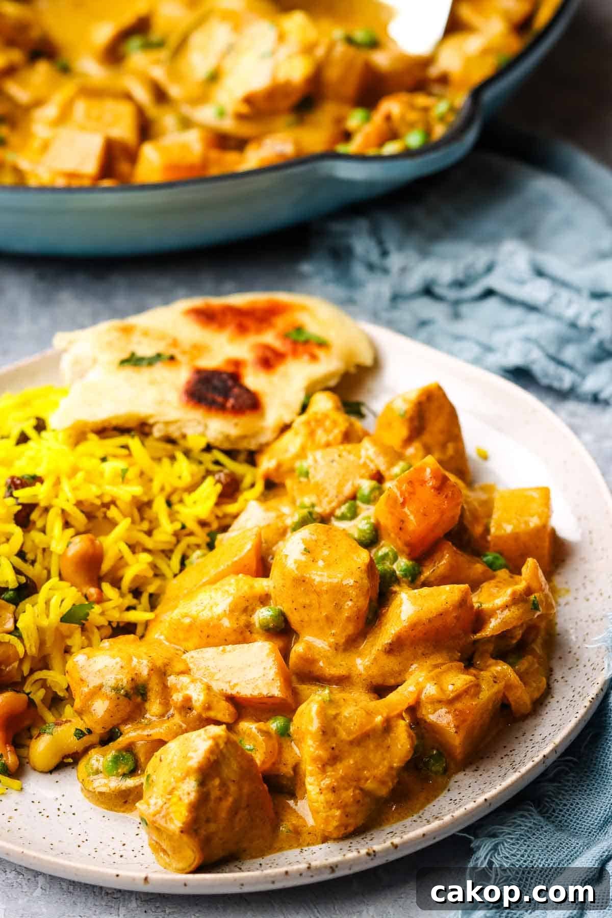 closeup view of chicken and potato curry with yellow basmati rice and naan bread