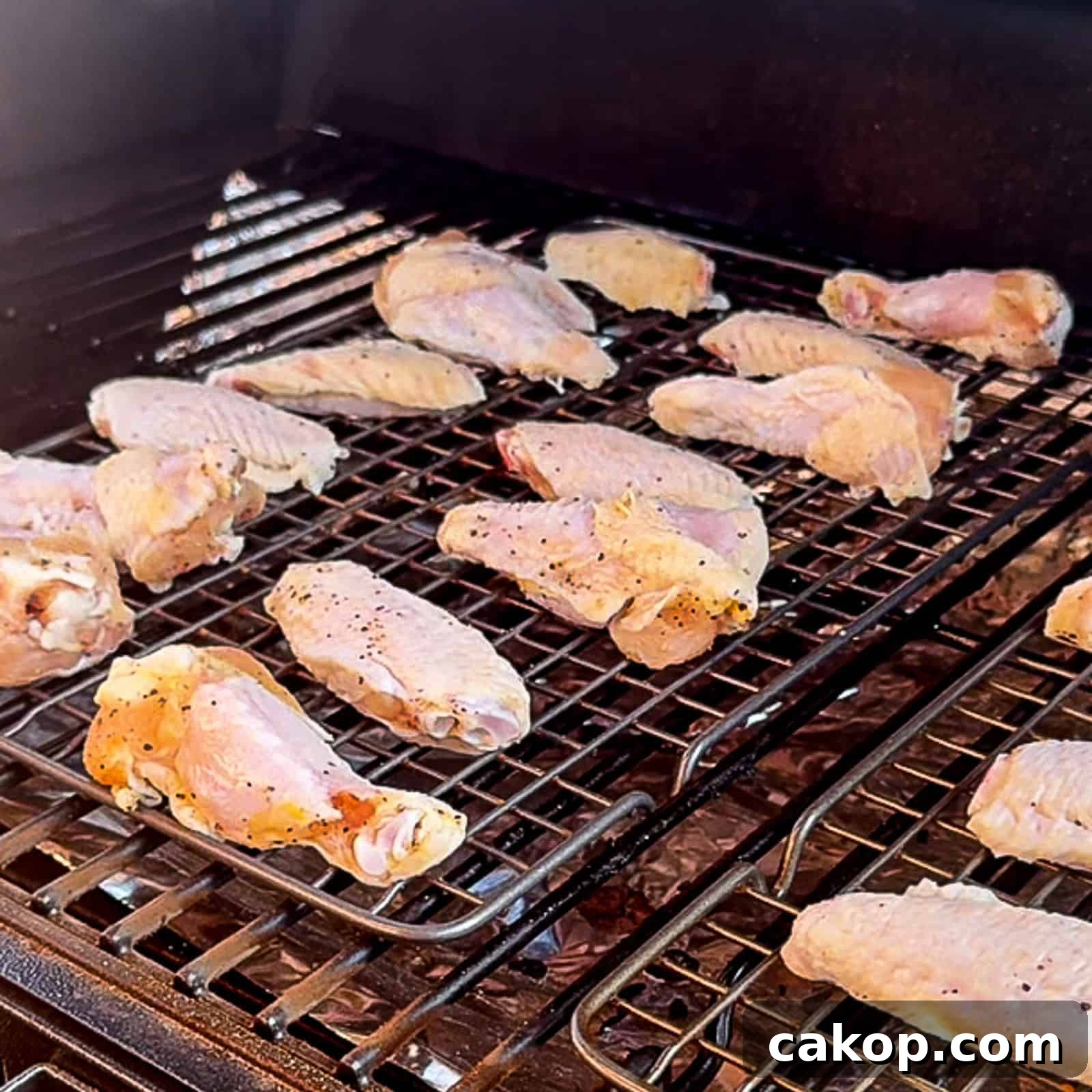 Smoked Lemon Garlic Chicken Wings Recipe for Juicy, Crispy Results 10 img 237395 9
