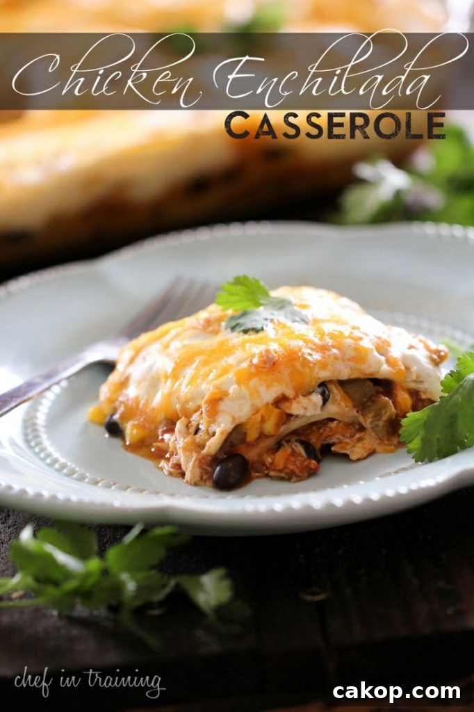Chicken Enchilada Casserole