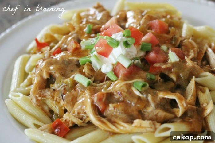 Chicken Enchilada Pasta