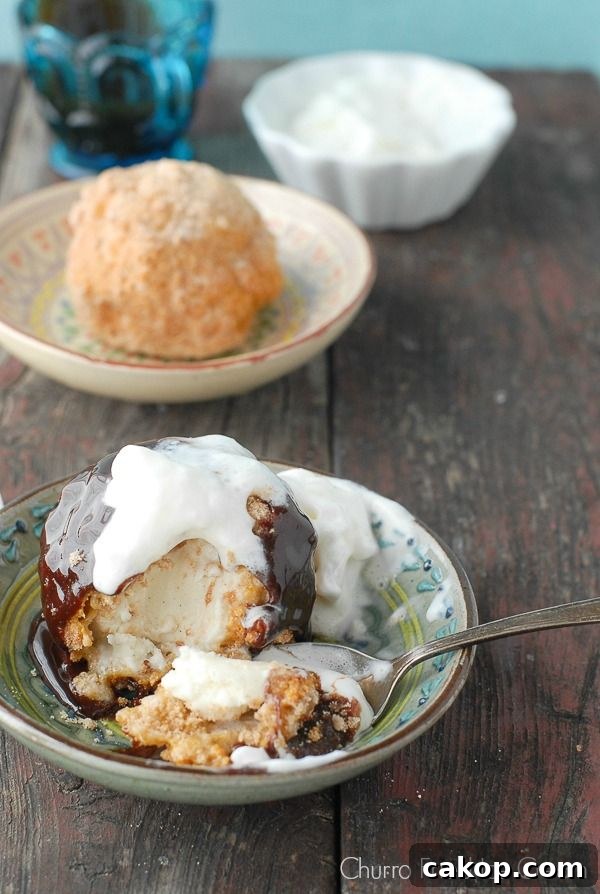 Churro Fried Ice Cream
