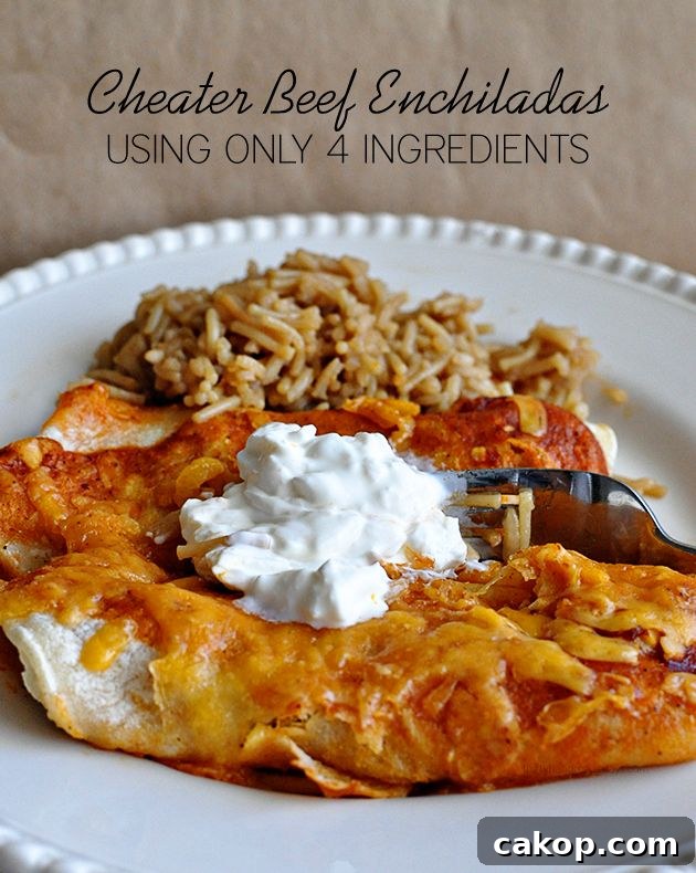 Easiest Cheater Beef Enchiladas - using only 4 ingredients