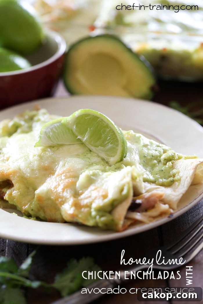 Honey Lime Chicken Enchiladas with Avocado Cream Sauce