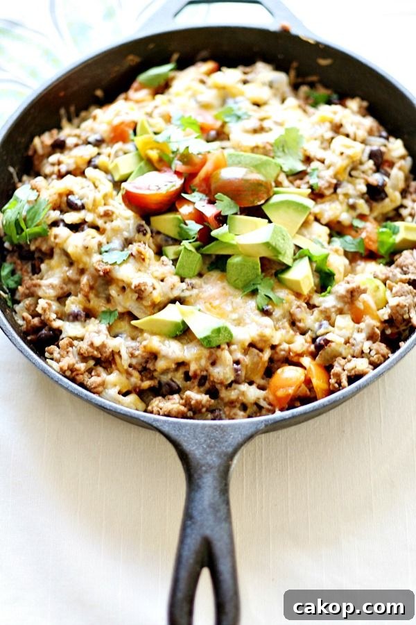 Mexican Skillet Dinner