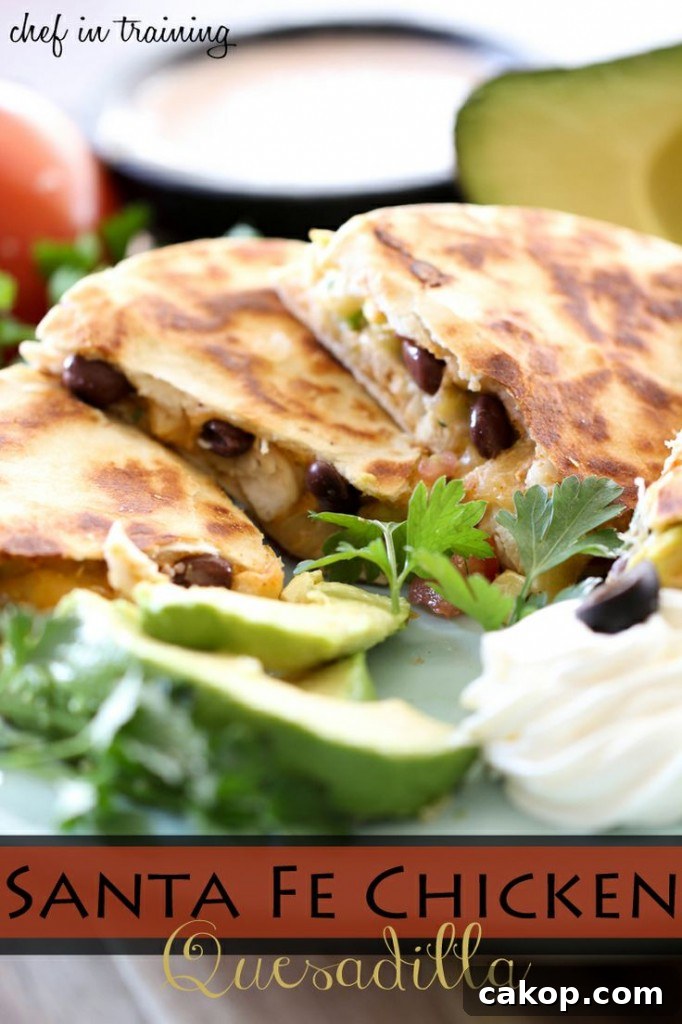 Santa Fe Chicken Quesadilla