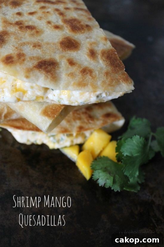 Shrimp Mango Quesadillas