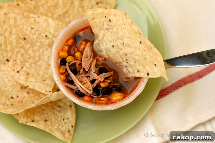 Slow Cooker Chicken Enchilada Soup
