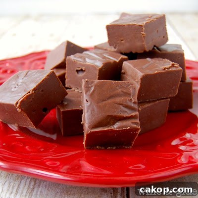 Spicy Mexican Chocoalte Fudge