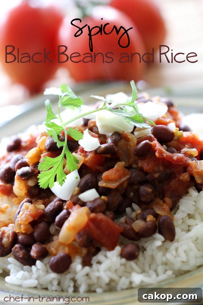 Spicy-Black-Beans-and-Rice