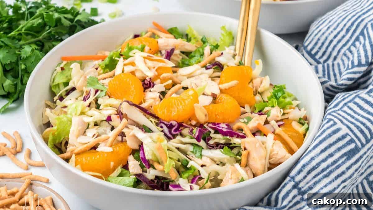 11 Quick Chicken Dinner Recipes for Weeknight Meals 2 img 244414 1