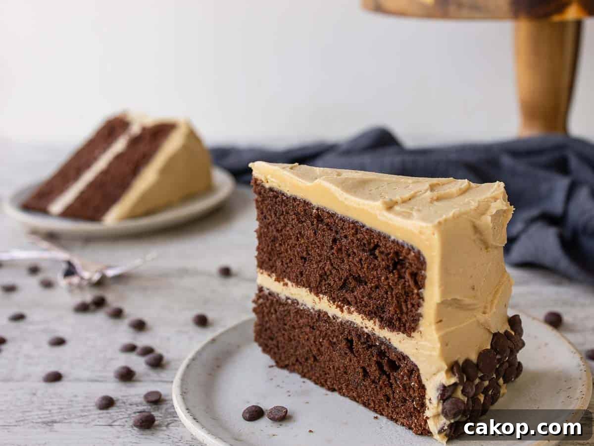 Decadent Chocolate Peanut Butter Cake Recipe 11 Wedge of two layer chocolate cake with pale frosting.