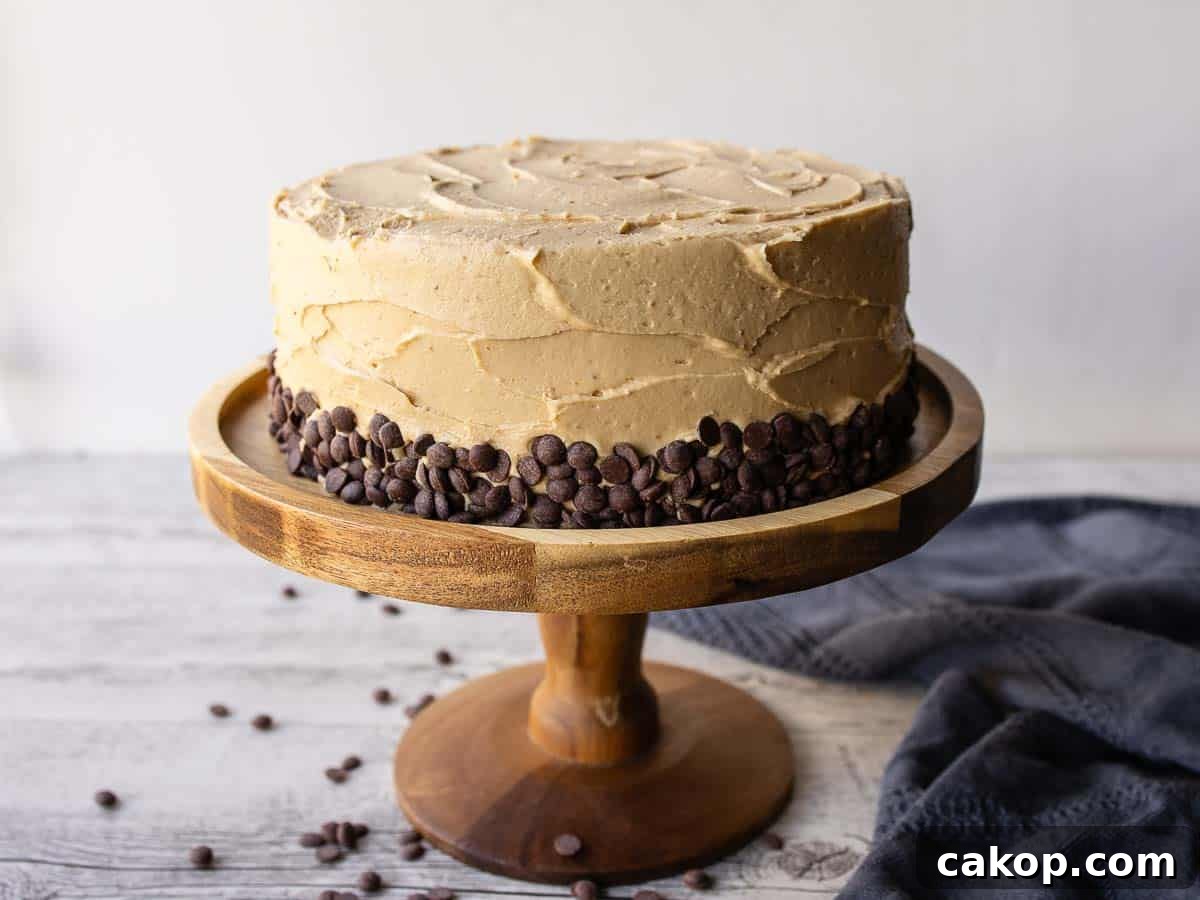 Decadent Chocolate Peanut Butter Cake Recipe 10 Frosted cake with mini chocolate chips around the bottom.