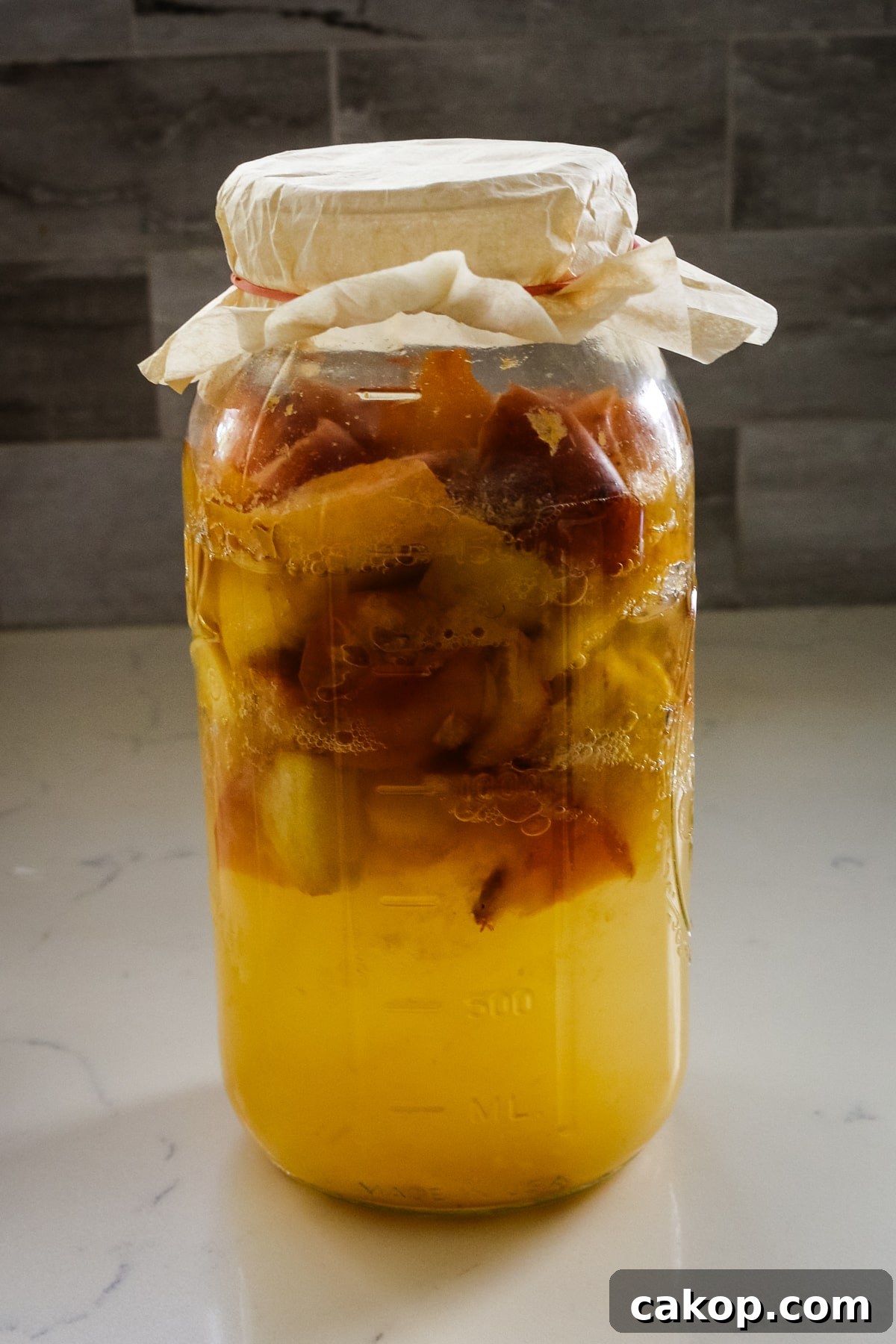 large glass jar filled with chopped apples and liquid for fermentation, covered with paper and secured with a rubber band.