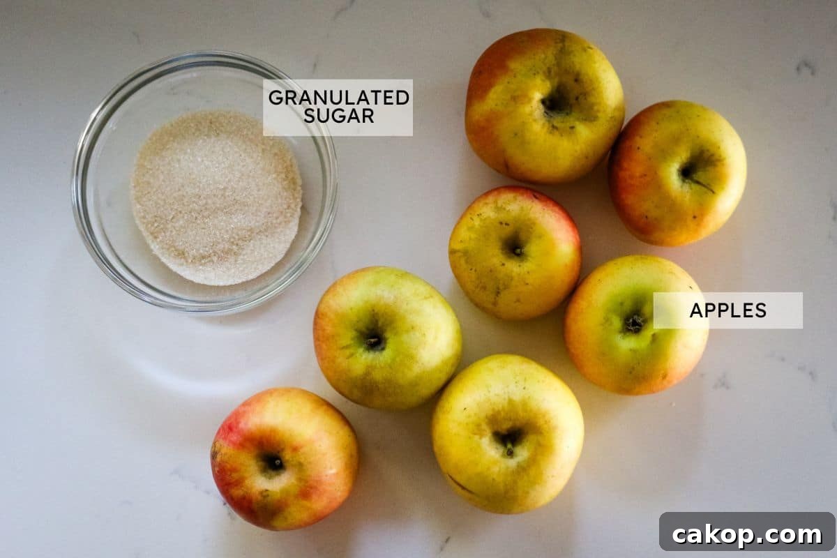 ingredients for apple cider vinegar with labels.