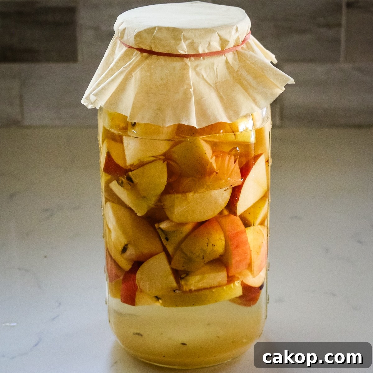 large glass jar filled with chopped apples and liquid for fermentation, covered with paper and secured with a rubber band.