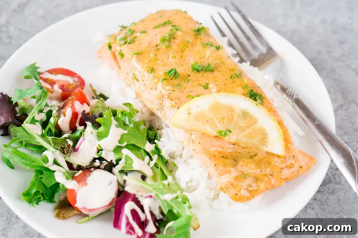 salmon over rice with a side salad on a white plate