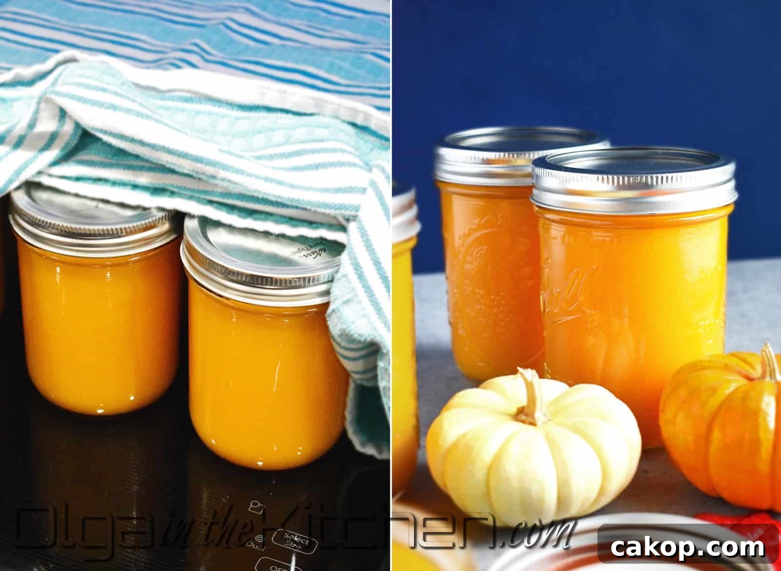 canned pumpkin puree