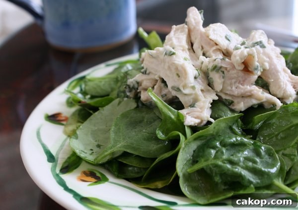 A plate of fresh spinach leaves topped with shredded lemony tarragon chicken salad in a creamy white sauce, with a blue cup in the blurred background.