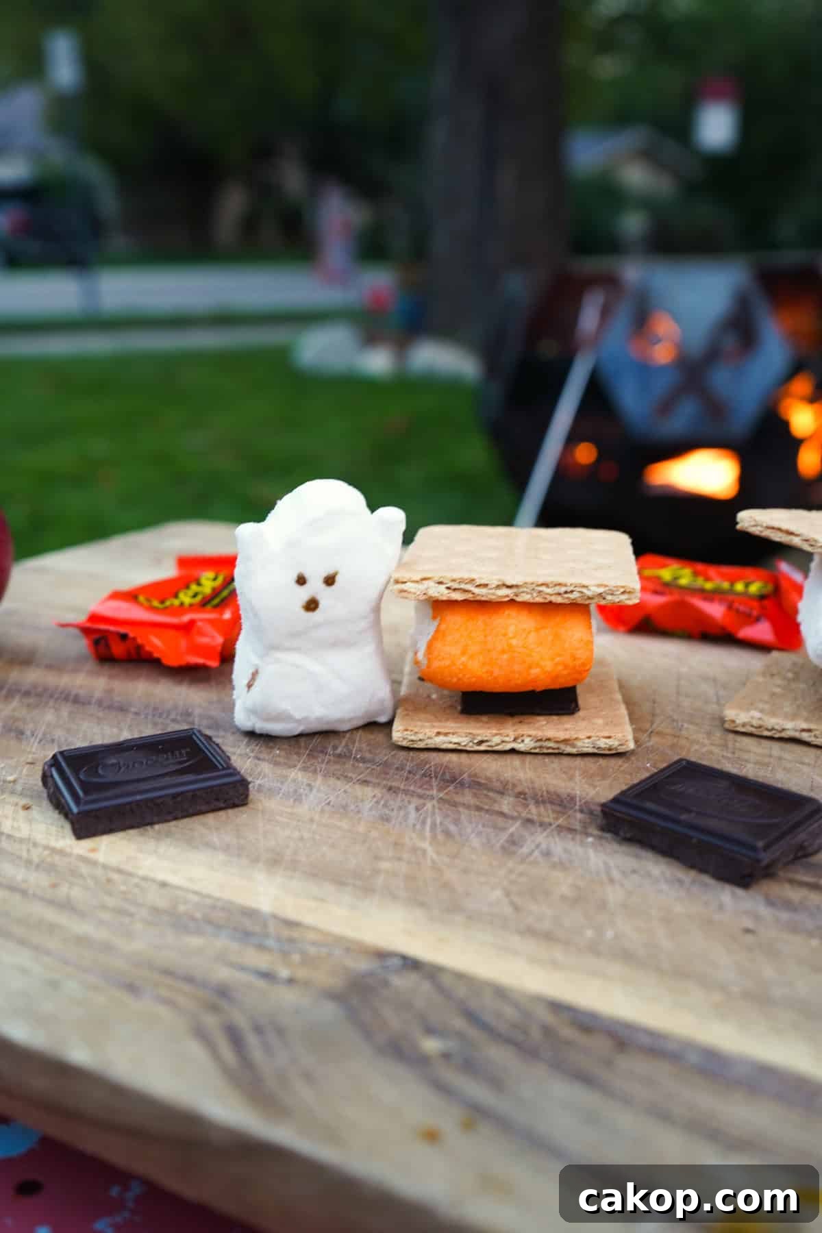 Spooky Halloween S'mores Recipes for a Festive Treat 3 img 25954 2