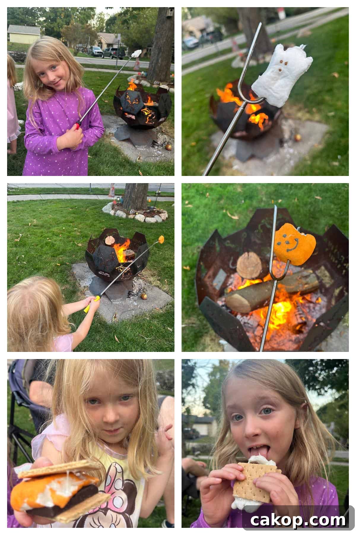 Spooky Halloween S'mores Recipes for a Festive Treat 5 halloween stores how to make