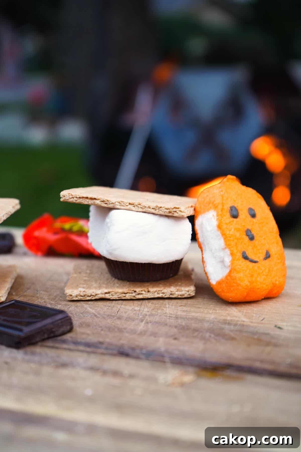 Spooky Halloween S'mores Recipes for a Festive Treat 8 halloween smores vertical