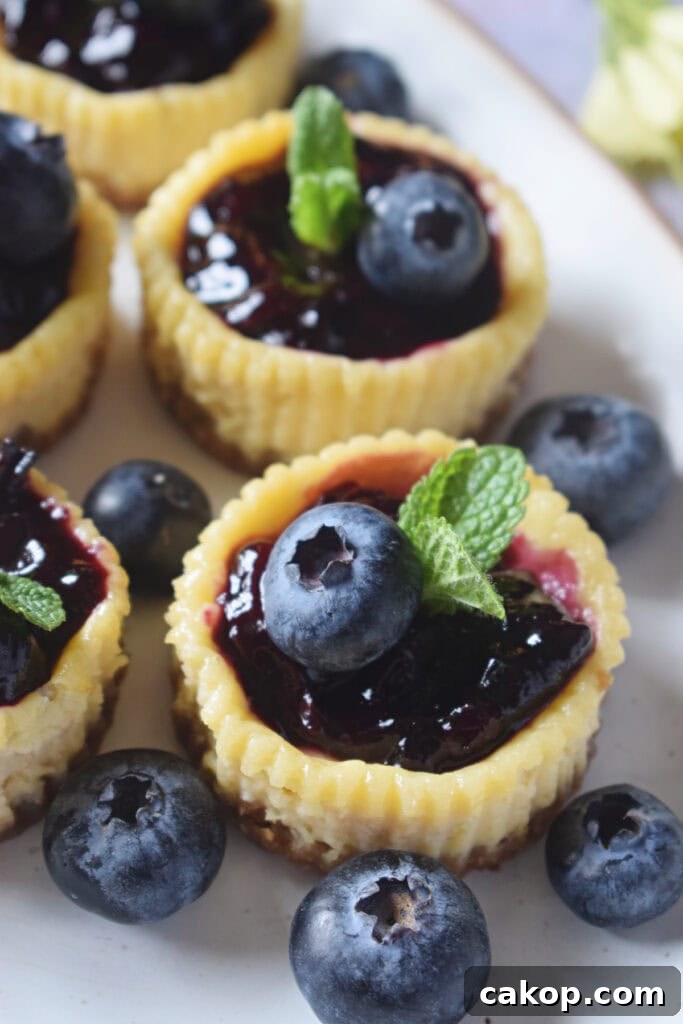 Close up of mini blueberry cheesecakes.