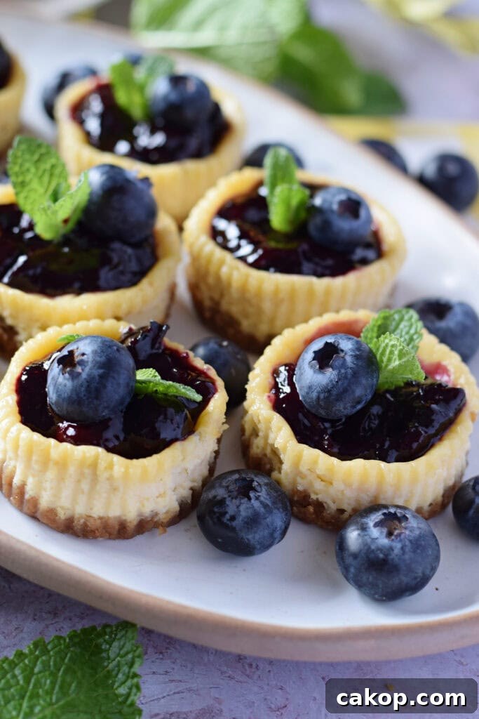 Blueberry cheesecakes on a white serving plate.