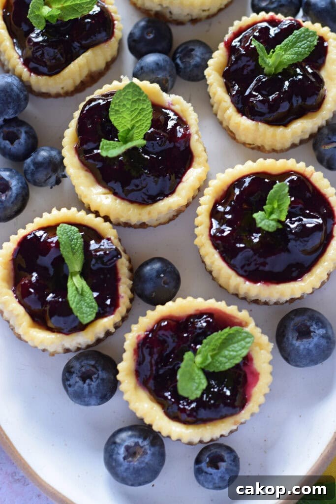 Close up of mini blueberry cheesecakes.