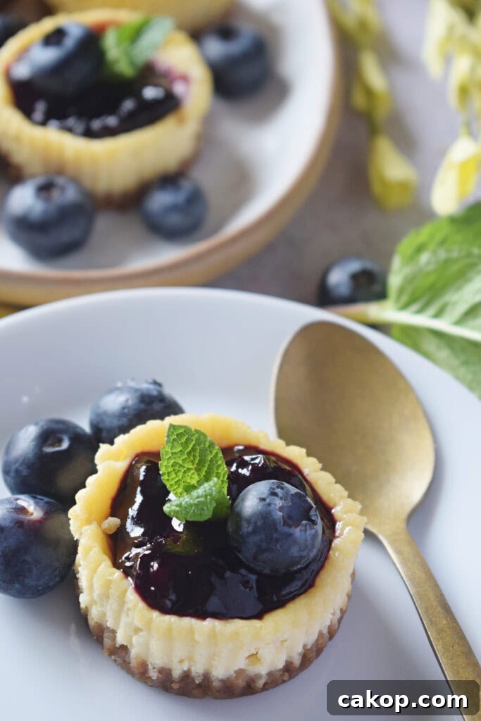 Close up of mini blueberry cheesecake on a white serving plate.