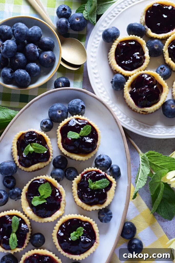 Mini blueberry cheesecakes on serving dishes.