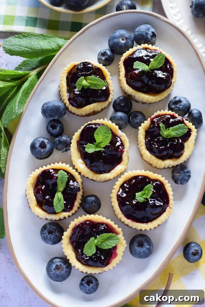 Mini blueberry cheesecakes on a white oval plate.
