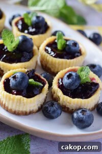Blueberry cheesecakes on a white serving plate.