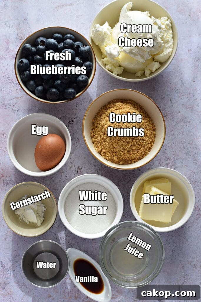 Ingredients to make mini blueberry cheesecakes.
