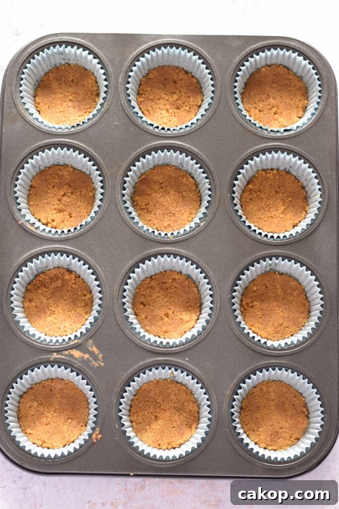 Mini cheesecake mini cups filled with cookie crumbs.