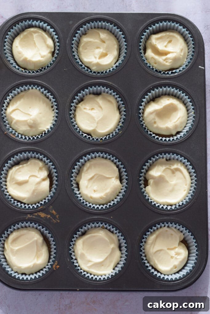 Ready to bake mini cheesecakes.