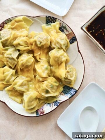 Plateful of pork wontons