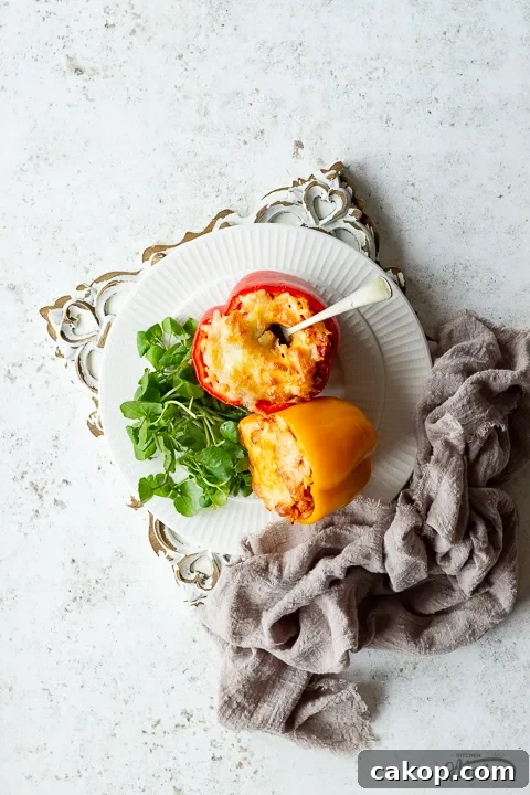 A plate with two rice stuffed peppers and salad on it