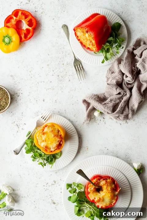 Plates of rice stuffed peppers and salad