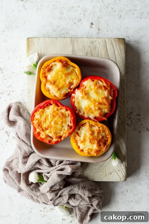 Baked rice stuffed peppers in an oven dish
